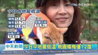 20200329中天新聞　浪漫邂逅！台北花博公園　700品種玫瑰爭奇鬥艷