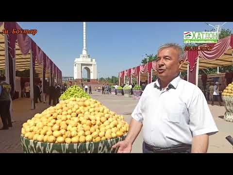 Коршиноси соҳаи кишоварзӣ ба кишоварзони хатлонӣ маслиҳат дод