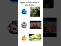 Types of fruit users in blox fruit