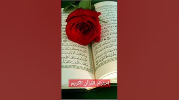 احترام القرآن الكريم #quran #ادريس_ابكر #رعد_الكردي #وسيم_يوسف #وديع_اليمني #سعد_الغامدي #quranic