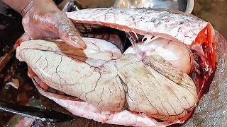 Amazing Fish Eggs Collections Big Rohu Fish Cutting In Fish Market | Fish Cutting Skills