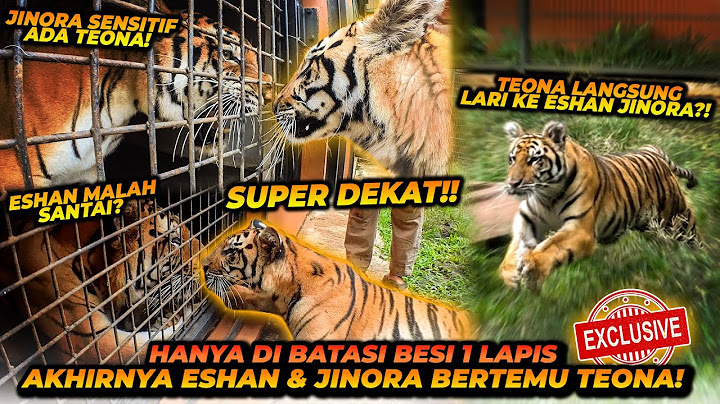 TEONA SEDEKET INI KE ESHAN JINORA ! GA BAHAYA TA ?! GIMANA REAKSI MEREKA ??