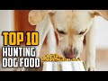 Top 10 Best Hunting Dog Foods In 2023