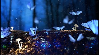 Mushroom Magic Forest | Woodland Ambience | Bird Song