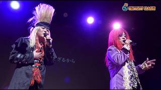 『ぺこぱ単独ライブ「P」PEGASUS～60分漫才＆MUSIC FES～』トレーラー