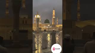 Download Lagu Maula Ya Salli Wa Sallim | #madina #trending #trendingshorts #youtubeshorts MP3 Download Lagu Maula Ya Salli Wa Sallim | #madina #trending #trendingshorts #youtubeshorts MP3