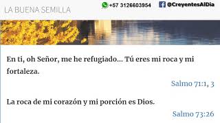 Echemos el ancla Reflexión Diaria La Buena Semilla