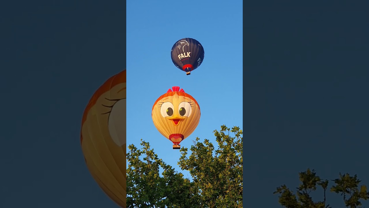 priscilla & falk balloon 