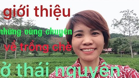 Giới thiệu những vùng chuyên về trồng chè ở thái nguyên l Hương Trà Oficial