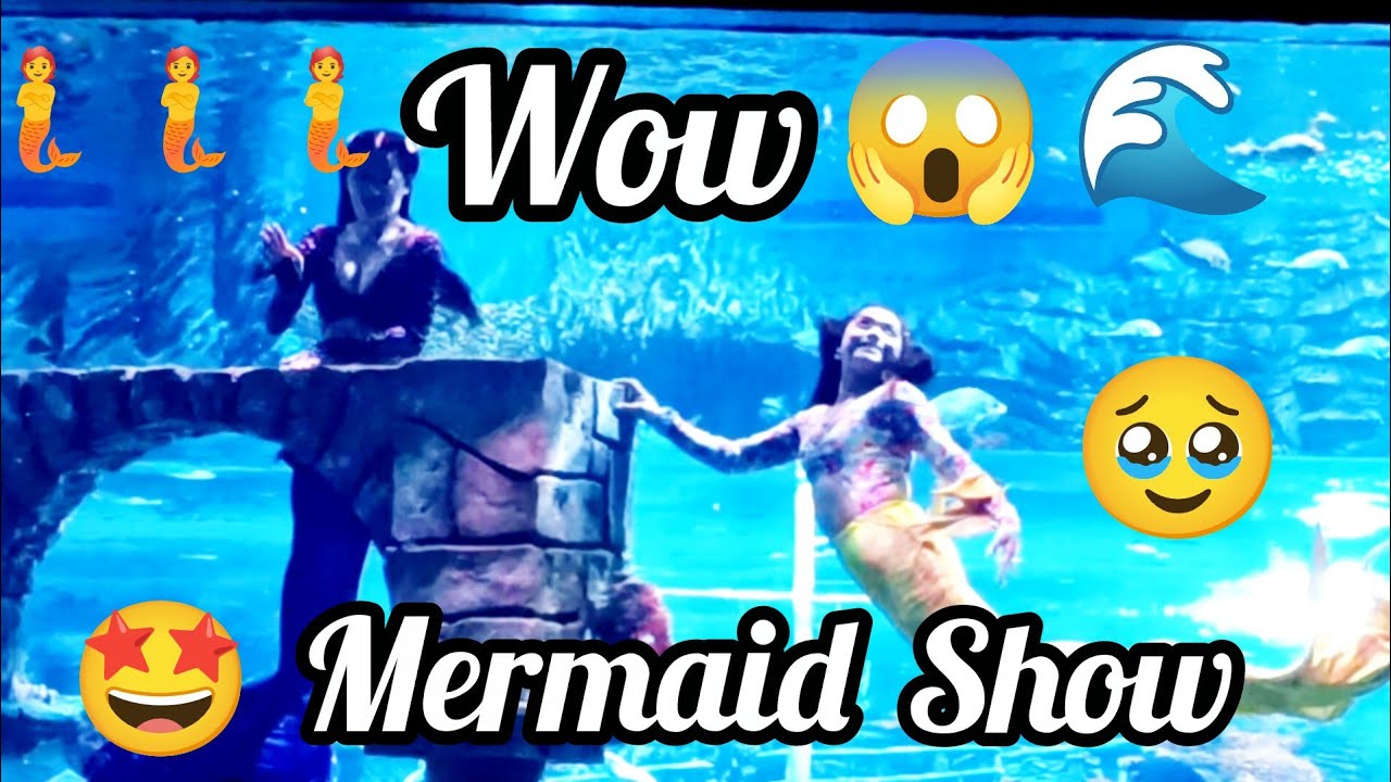 Wow 🤩 Aquarium lo అద్భుతమైన live mermaid show 🧜🧜🌊🌊
