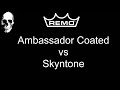 REMO Ambassador Coated vs Skyntone