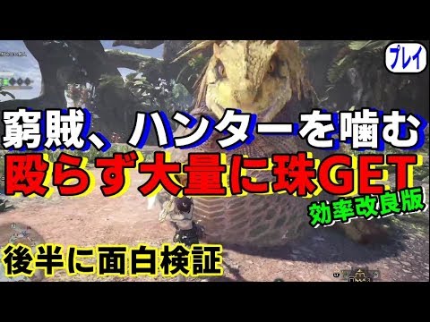 Mhw 19 7 26イベクエ 窮賊 ハンターを噛む ジャグラス殴らずアイスボーン前に装飾珠ガッポリ 効率改良版 初心者や周回辛い人も モンハンワールド Youtube