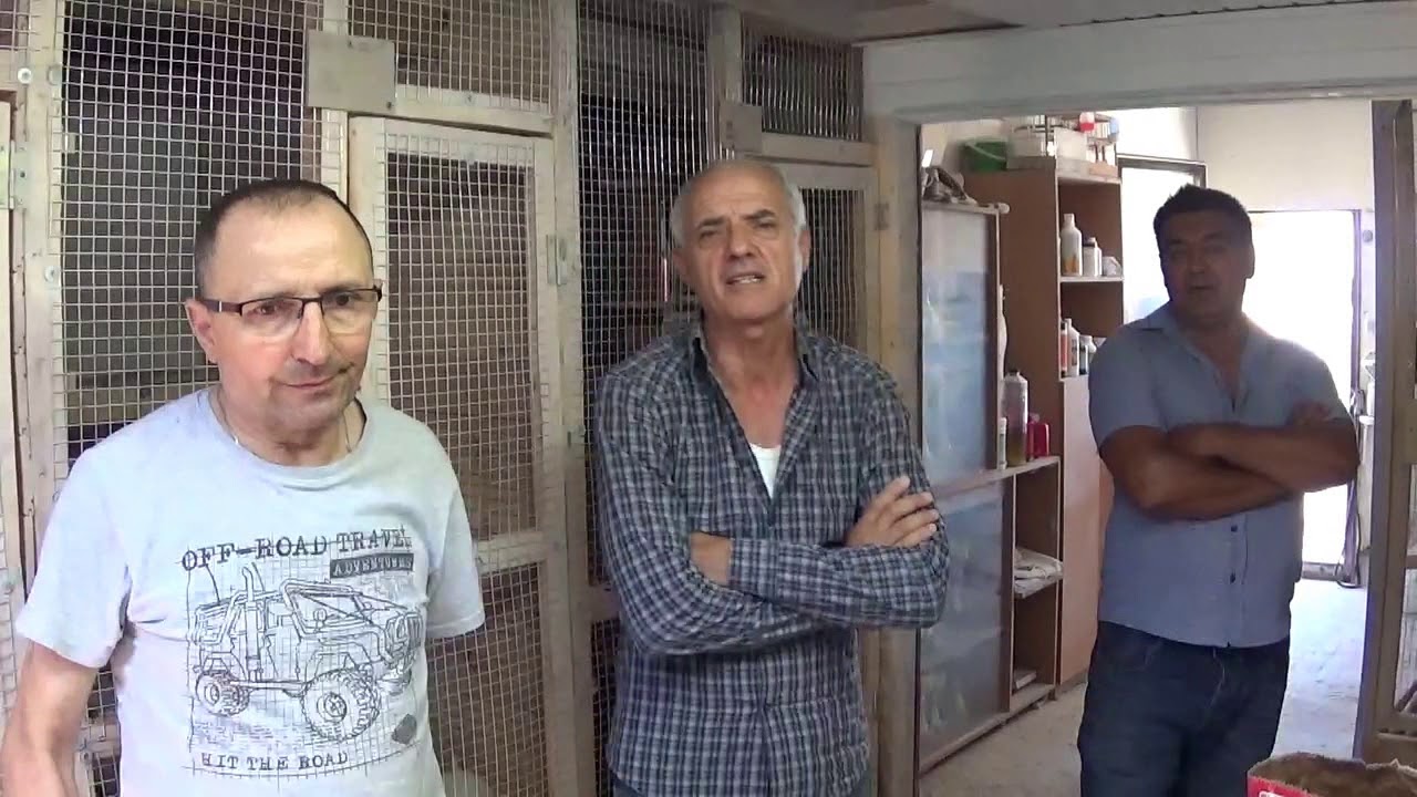 Vasile Racing Racing Pigeons Team Vasile Gheorghe & Titel Bucharest Romania contest ...