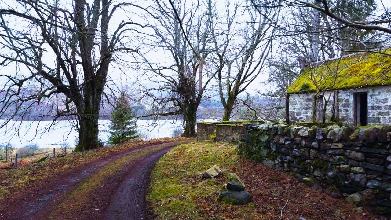 Relaxing Walk in the Cairngorms National Park | Scotland | 4K Nature
