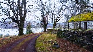 Relaxing Walk in the Cairngorms National Park | Scotland | 4K Nature