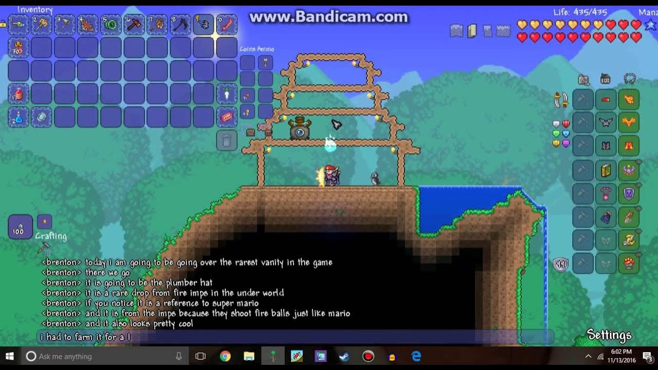 Terraria setups