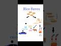 米不足に物申す！Rice Saves