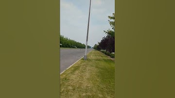 Custom ARRMA 140MPH run. #rccar #rctruck #bashing #arrma #speedrun #hpi #traxxas #limitless