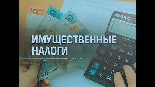 Время платить налоги за землю, недвижимость и машину | Сфера интересов