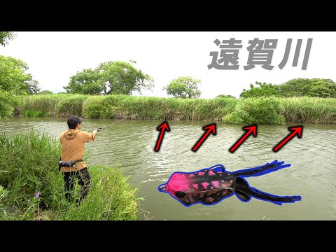 世界で1番楽しい釣りって……やっぱコレだと思う【遠賀川さん】