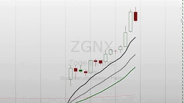 ZGNX