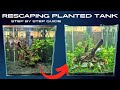 How to safely re-scape a stocked planted aquarium