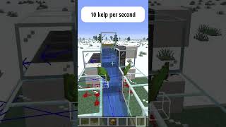 INSANE Kelp Farm (15,000+ Kelp/Hour!) 🌿 | Donut SMP