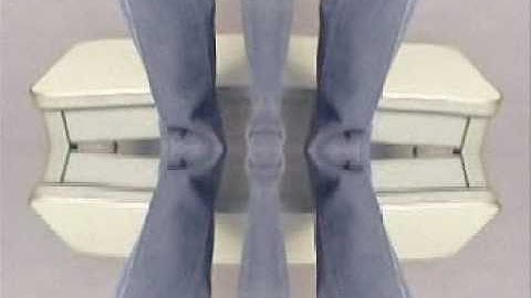 Ulrike Müller, Portrait of the Artist