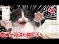 【掃除が楽！】多頭飼いがお薦めする猫ケージ 「リッチェル お掃除簡単キャットサークル 」