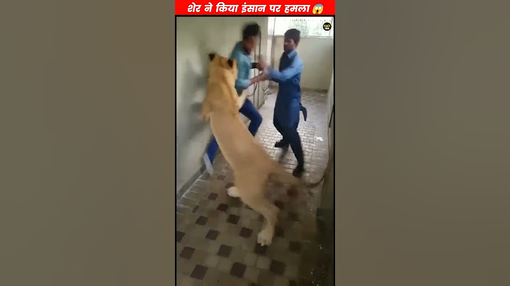 शेर ने किया इंसान पर हमला 😱 #Shorts #short #youtubeshort #shortvideo #facttrix