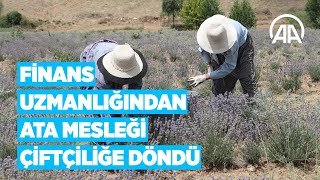 Finans Uzmanlığından Ata Mesleği Çiftçiliğe Döndü