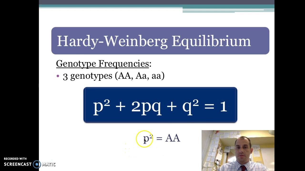 Ap biology evolution review