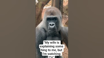 "My wife is explaining something to me, but I