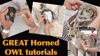 G.H. Owl Taxidermy Tutorial series and many more.... Art of Taxidermy.