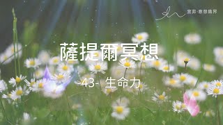 ｜薩提爾的52個冥想練習｜- 43 - 生命力 ＃薩提爾 ＃冥想  #靜心 #satir  #與自己和解 #冰山理論