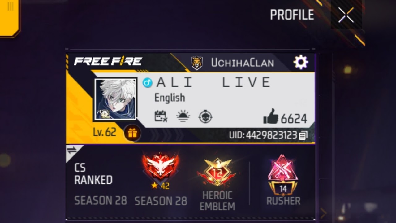 ALI LIVE Live Stream - YouTube