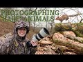 My first solo wildlife photography excursion