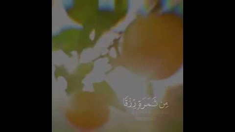 الشيخ فاتح سفرجيك وتلاوة قرانية تطمئن القلوب