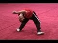 Drunken Style - Instructional Wushu Form - ??