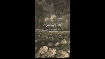سورة العلق #لايك قران كريم