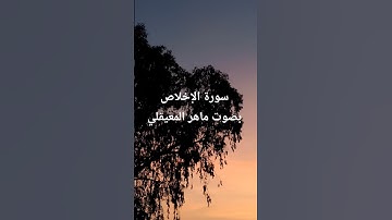 سورة الإخلاص بصوت ماهر المعيقلي كامله