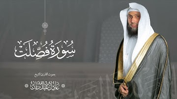 سورة " فصلت " القارئ: عادل ريان || المصحف المرتل