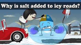 Why is salt added to icy roads? | #aumsum #kids #science #education #children