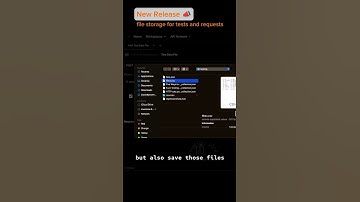 File storage for shared requests and cloud runs | New Release