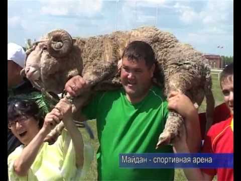 Майдан - спортивная арена. 