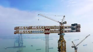 Top 5 World’s Largest and Powerful Tower Crane