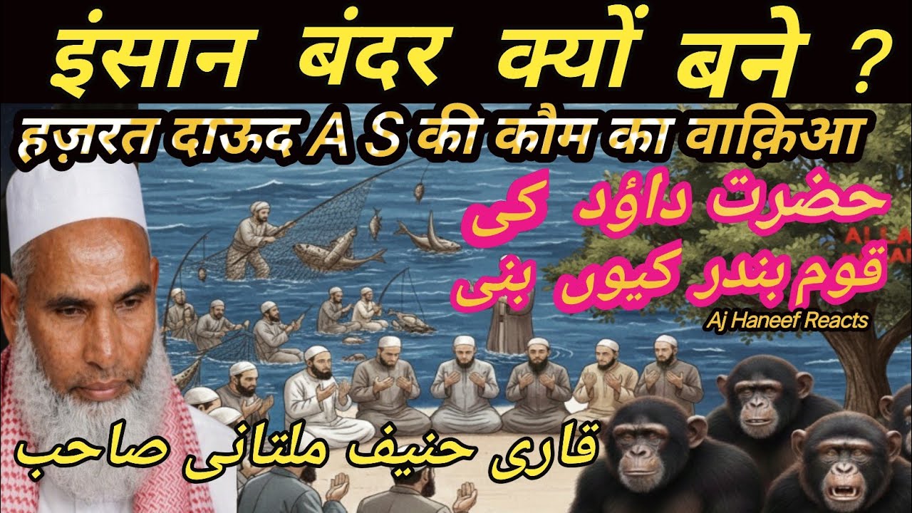 Hazrat Dawood Ki Ummat Bandar Kyon Bani😱?  | Kari Haneef bayan