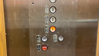Dillard’s-Tyrone mall-St. Pete FL
