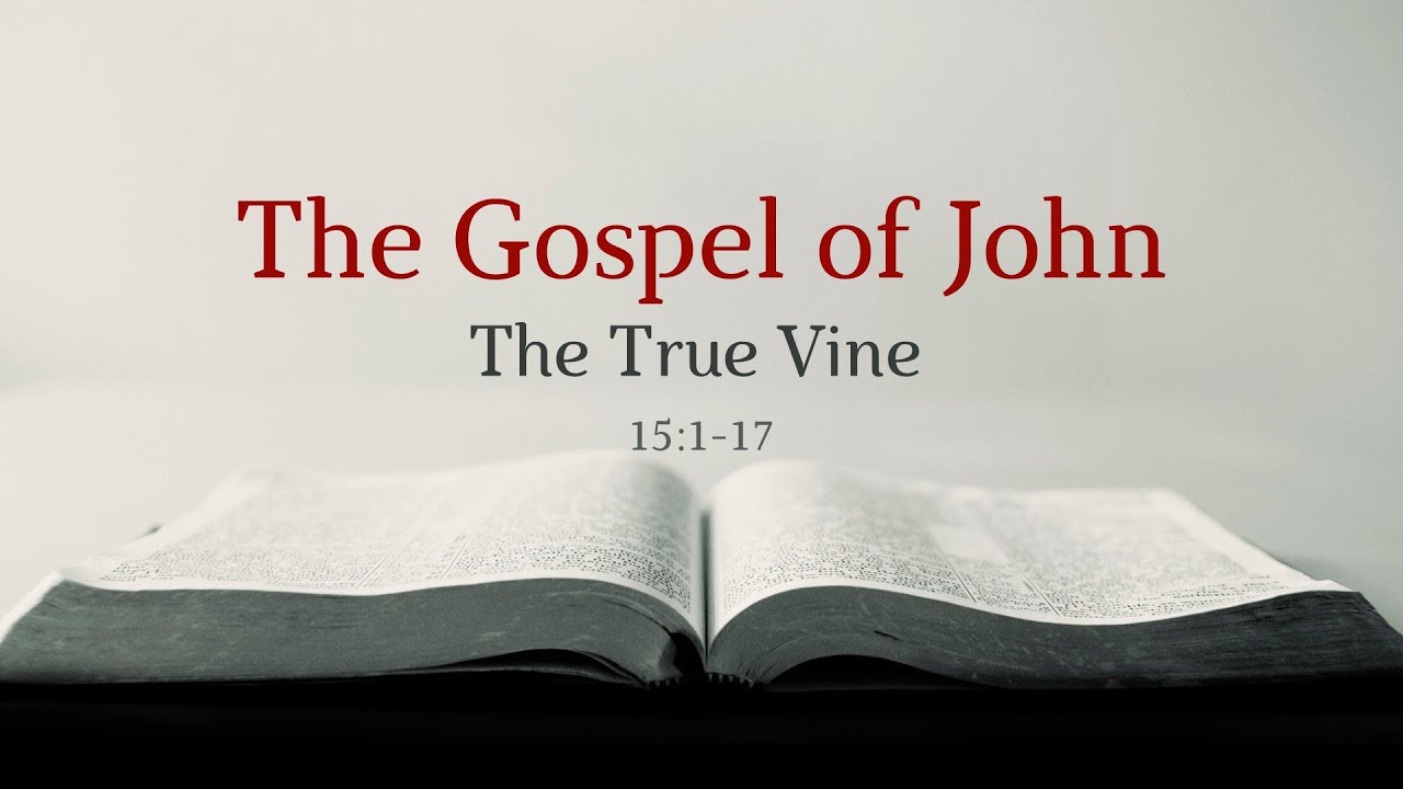 john-15-1-17-the-true-vine-youtube
