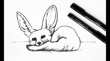 How to draw a fennec fox easy